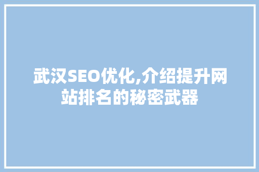 武汉SEO优化,介绍提升网站排名的秘密武器