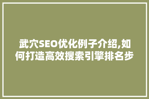 武穴SEO优化例子介绍,如何打造高效搜索引擎排名步骤