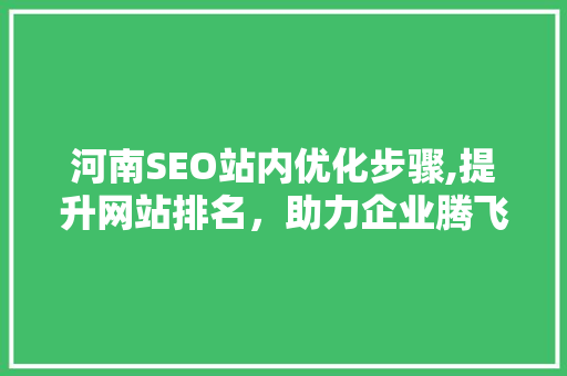河南SEO站内优化步骤,提升网站排名，助力企业腾飞