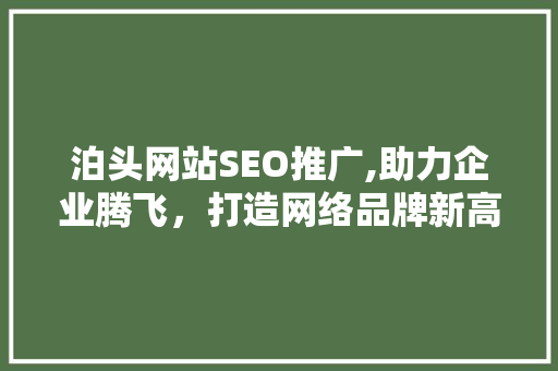 泊头网站SEO推广,助力企业腾飞，打造网络品牌新高度