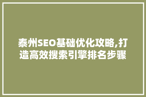 泰州SEO基础优化攻略,打造高效搜索引擎排名步骤