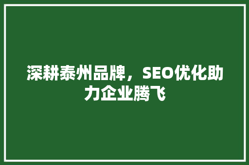 深耕泰州品牌，SEO优化助力企业腾飞