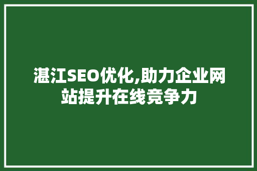 湛江SEO优化,助力企业网站提升在线竞争力