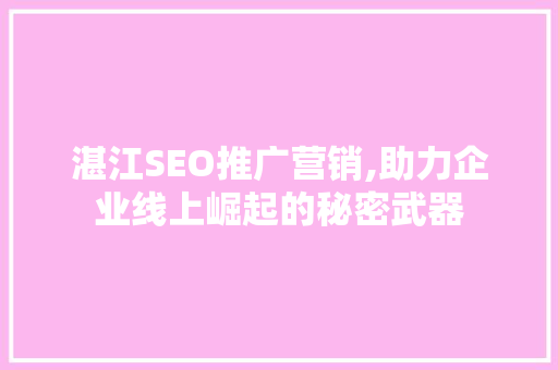 湛江SEO推广营销,助力企业线上崛起的秘密武器