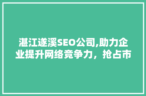 湛江遂溪SEO公司,助力企业提升网络竞争力，抢占市场先机