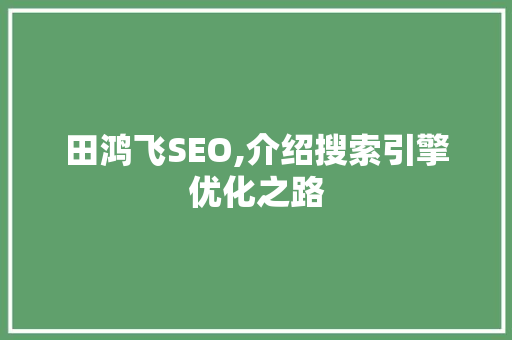 田鸿飞SEO,介绍搜索引擎优化之路