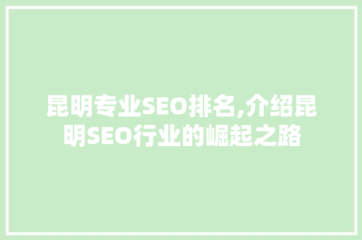 昆明专业SEO排名,介绍昆明SEO行业的崛起之路