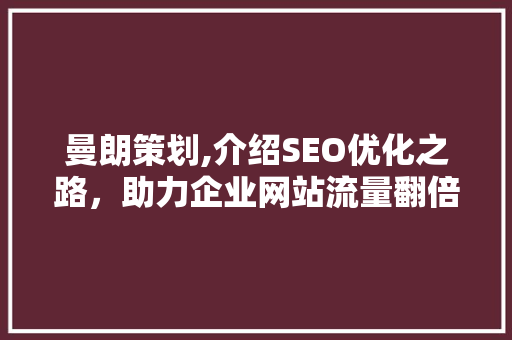 曼朗策划,介绍SEO优化之路，助力企业网站流量翻倍