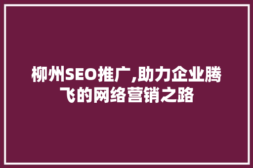 柳州SEO推广,助力企业腾飞的网络营销之路