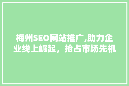 梅州SEO网站推广,助力企业线上崛起，抢占市场先机