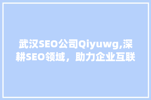 武汉SEO公司Qiyuwg,深耕SEO领域，助力企业互联网营销新高度