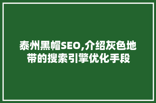 泰州黑帽SEO,介绍灰色地带的搜索引擎优化手段