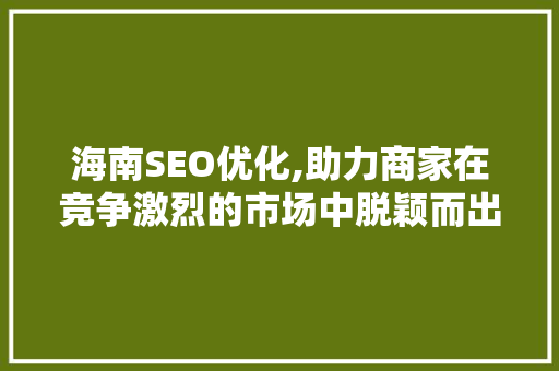 海南SEO优化,助力商家在竞争激烈的市场中脱颖而出