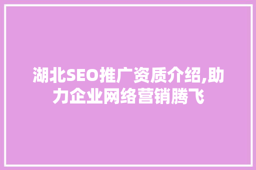 湖北SEO推广资质介绍,助力企业网络营销腾飞