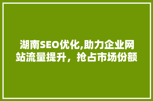 湖南SEO优化,助力企业网站流量提升，抢占市场份额