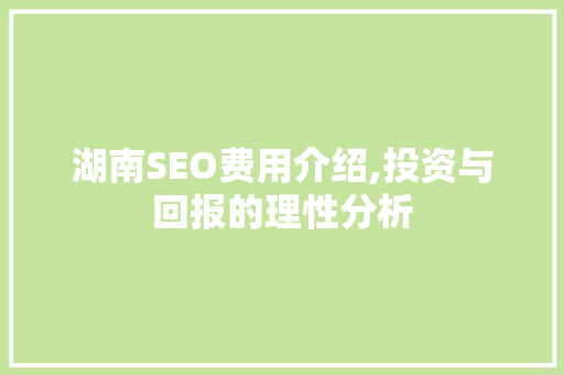 湖南SEO费用介绍,投资与回报的理性分析