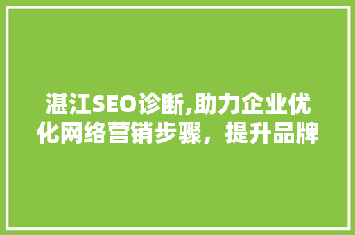 湛江SEO诊断,助力企业优化网络营销步骤，提升品牌影响力