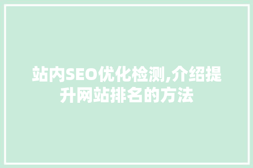 站内SEO优化检测,介绍提升网站排名的方法