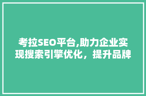 考拉SEO平台,助力企业实现搜索引擎优化，提升品牌影响力