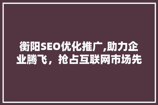 衡阳SEO优化推广,助力企业腾飞，抢占互联网市场先机