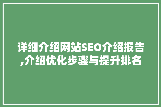 详细介绍网站SEO介绍报告,介绍优化步骤与提升排名之路