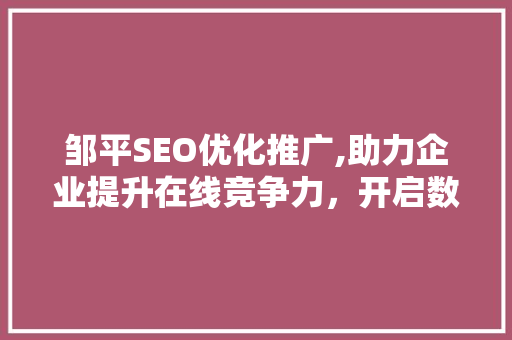 邹平SEO优化推广,助力企业提升在线竞争力，开启数字营销新时代