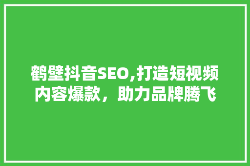 鹤壁抖音SEO,打造短视频内容爆款，助力品牌腾飞