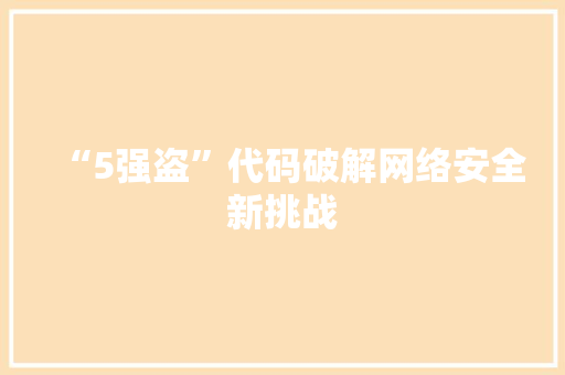 “5强盗”代码破解网络安全新挑战