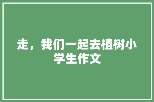 7SEO539,介绍搜索引擎优化中的关键词布局艺术
