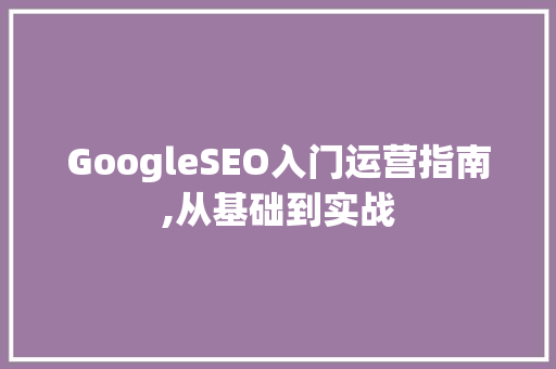 GoogleSEO入门运营指南,从基础到实战