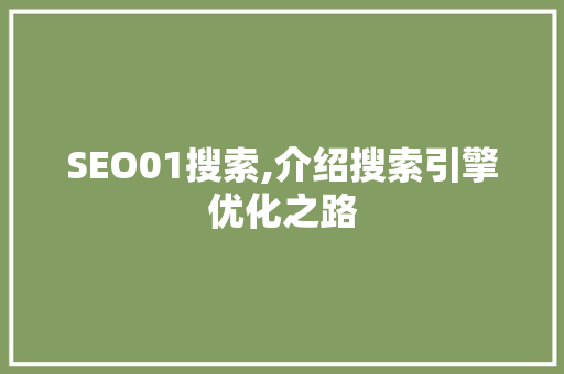 SEO01搜索,介绍搜索引擎优化之路