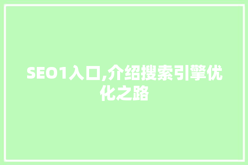 SEO1入口,介绍搜索引擎优化之路