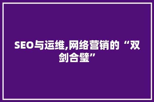 SEO与运维,网络营销的“双剑合璧”