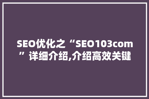 SEO优化之“SEO103com”详细介绍,介绍高效关键词布局步骤