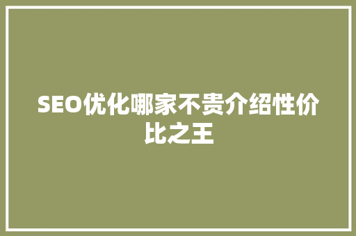 SEO优化哪家不贵介绍性价比之王