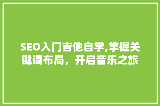SEO入门吉他自学,掌握关键词布局，开启音乐之旅