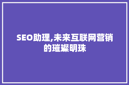 SEO助理,未来互联网营销的璀璨明珠