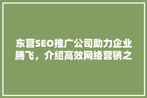 东营SEO推广公司助力企业腾飞，介绍高效网络营销之路