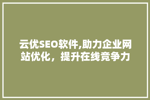 云优SEO软件,助力企业网站优化，提升在线竞争力