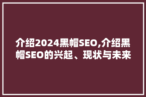 介绍2024黑帽SEO,介绍黑帽SEO的兴起、现状与未来