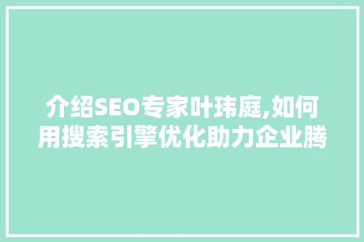 介绍SEO专家叶玮庭,如何用搜索引擎优化助力企业腾飞
