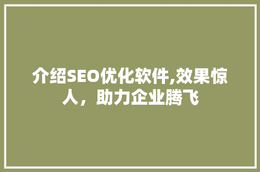 介绍SEO优化软件,效果惊人，助力企业腾飞