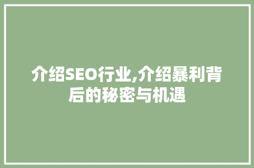 介绍SEO行业,介绍暴利背后的秘密与机遇