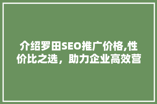 介绍罗田SEO推广价格,性价比之选，助力企业高效营销