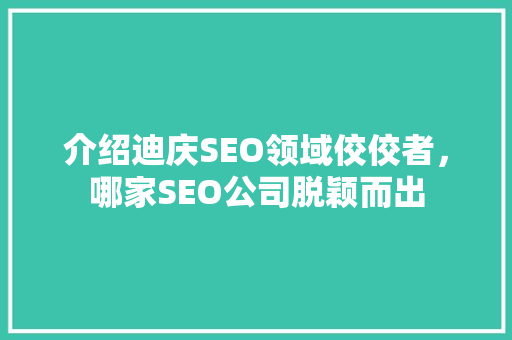 介绍迪庆SEO领域佼佼者，哪家SEO公司脱颖而出  第1张