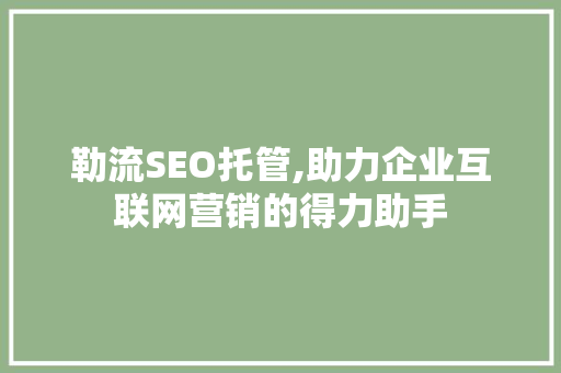 勒流SEO托管,助力企业互联网营销的得力助手  第1张