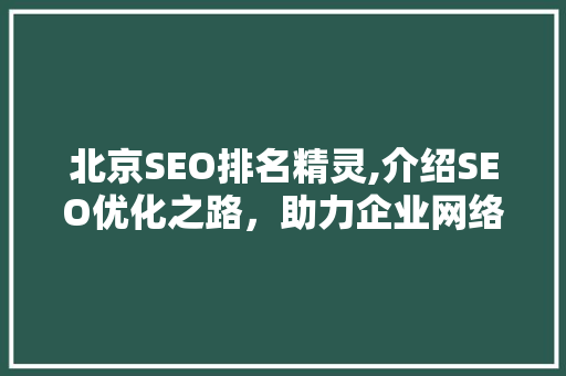 北京SEO排名精灵,介绍SEO优化之路，助力企业网络营销腾飞