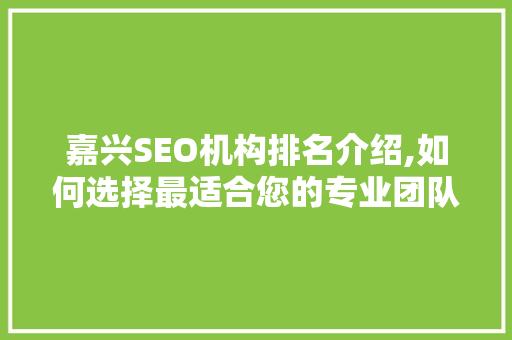 嘉兴SEO机构排名介绍,如何选择最适合您的专业团队