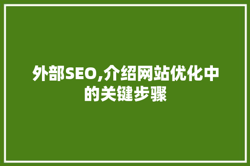 外部SEO,介绍网站优化中的关键步骤