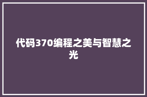 代码370编程之美与智慧之光